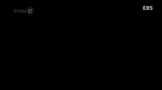 10월8일 언어순화프로그램1(욕의 반격_지식채널e) 사진